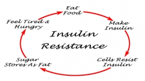 What Causes Diabetes Type-2 Insulin Resistance