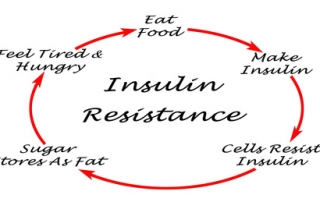 What Causes Diabetes Type-2 Insulin Resistance