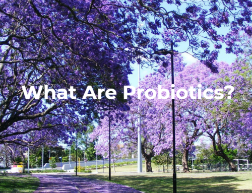 What Are Probiotics…