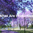 What Are Probiotics